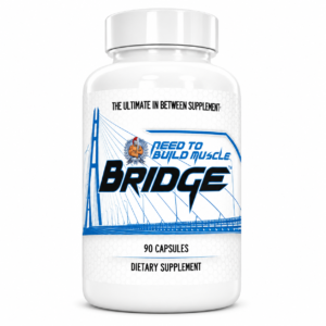 Bridge